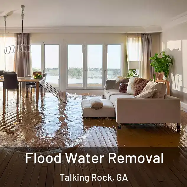  Flood Water Removal Talking Rock, GA