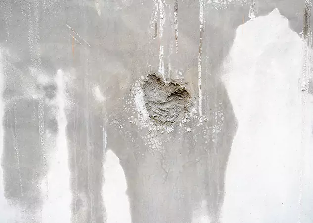 Your Mold Mitigation Solutions Partner in Talking Rock, GA