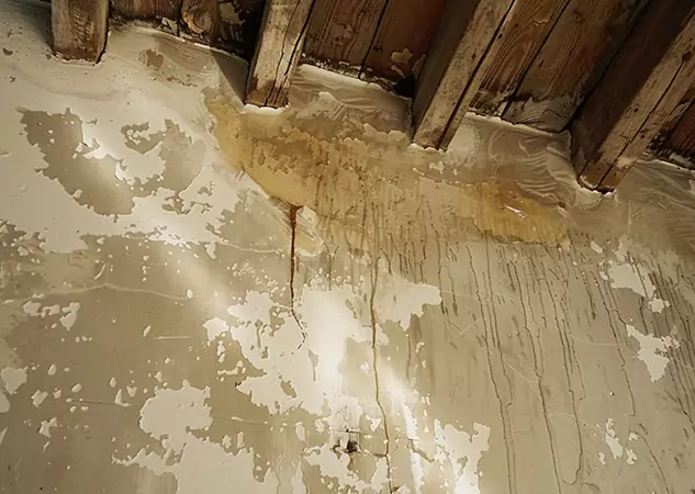 Your Trusted Restoration Company in Talking Rock, GA