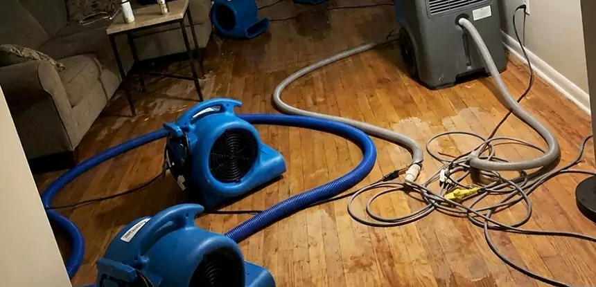 Basement Flood Restoration Services in Talking Rock