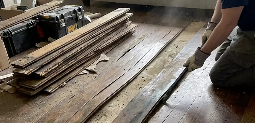 Wood Rot and Fungus Repair in Talking Rock