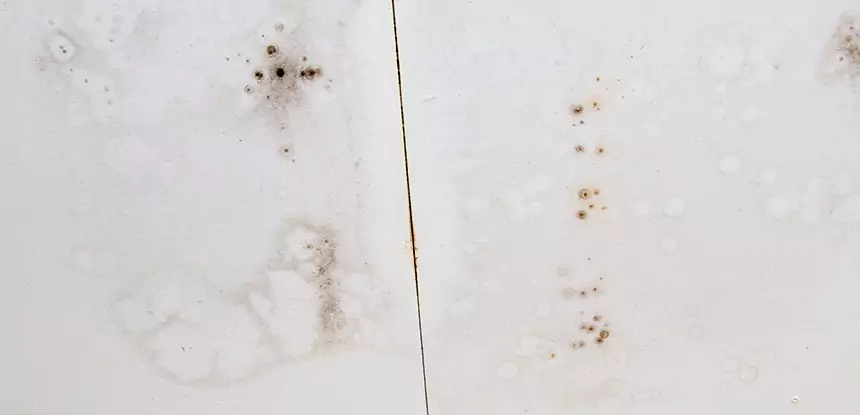 Professional Water Stain Repair Services in Talking Rock, GA