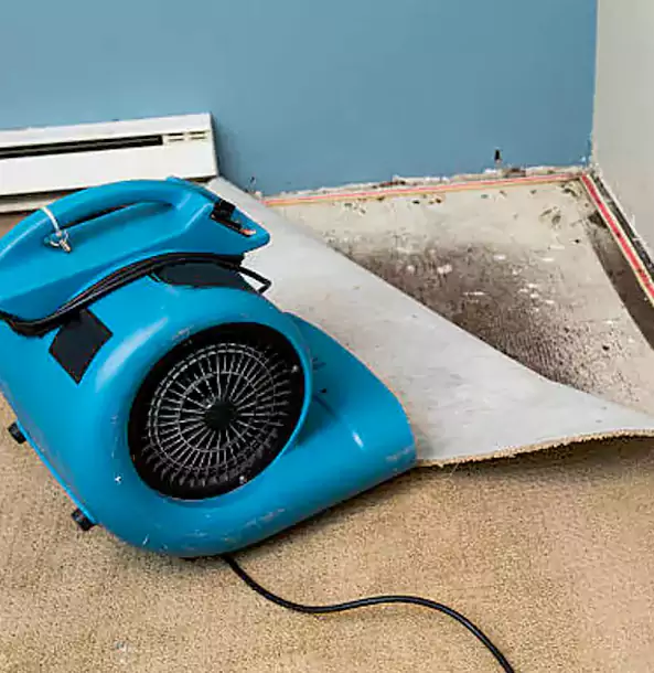 Why Talking Rock Trusts Talking Rock Restoration Pro for Carpet Flood Recovery?