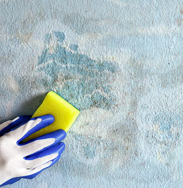 Why Talking Rock Restoration Pro Is the Right Choice in Talking Rock, GA?