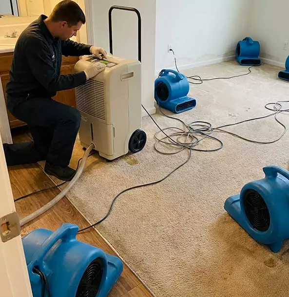 Why Talking Rock Homeowners and Businesses Trust Talking Rock Restoration Pro for Carpet Drying?