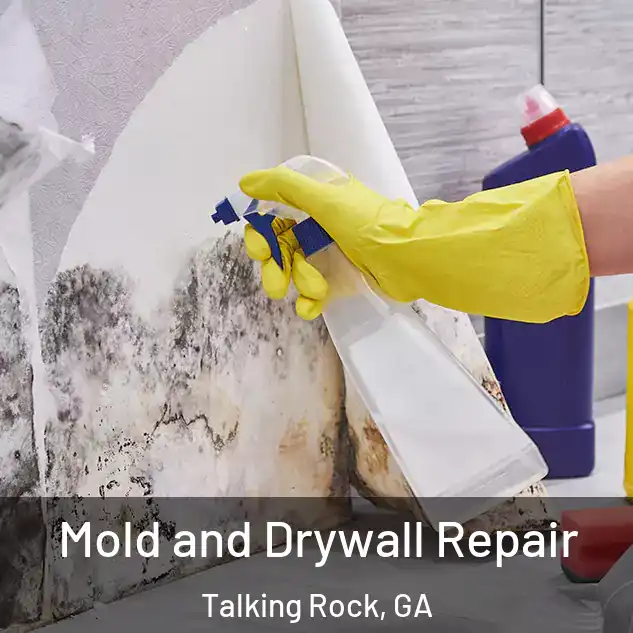  Mold and Drywall Repair Talking Rock, GA