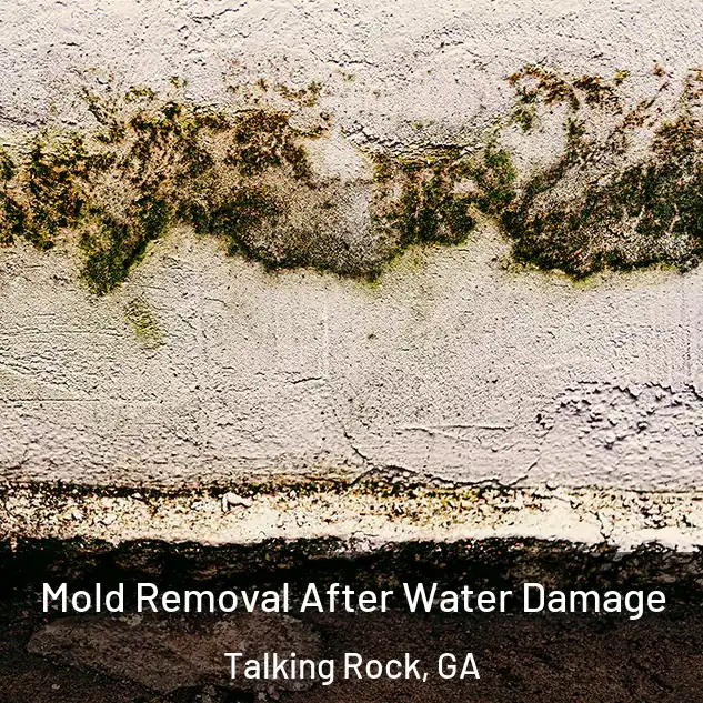  Mold Removal After Water Damage Talking Rock, GA