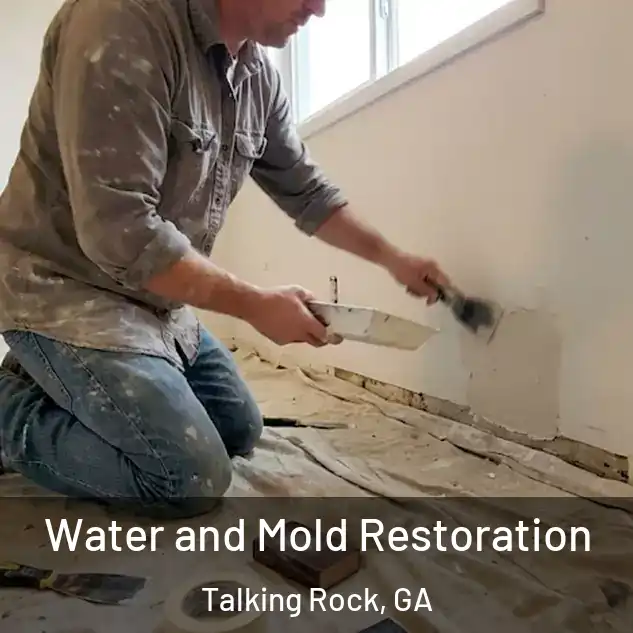  Water and Mold Restoration Talking Rock, GA