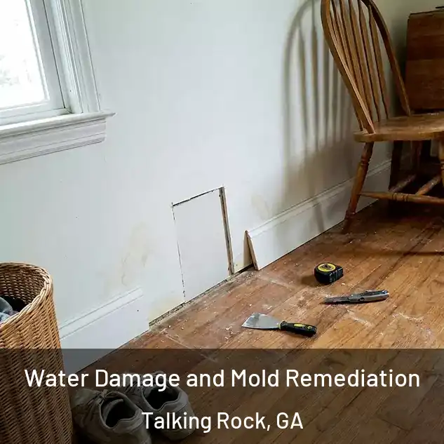  Water Damage and Mold Remediation Talking Rock, GA
