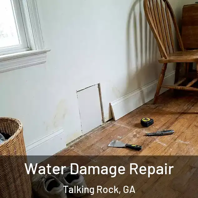  Water Damage Repair Talking Rock, GA