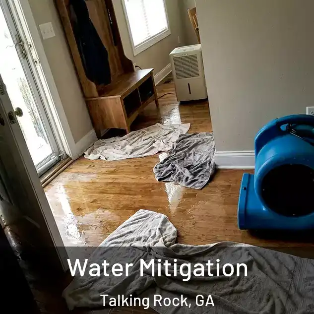  Water Mitigation Talking Rock, GA